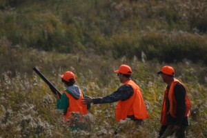Hunting Pheasant