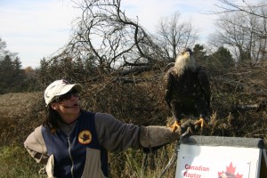 Canadian Raptor Conservancy