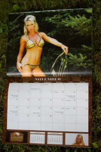 2011 Calendar (November)
